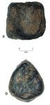 Two photographs (a & b) of Lathyrus sativum from Zagorë.