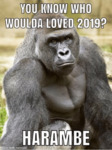 Harambe is the central figure. Top text reads, “You know who woulda loved 2019?” Bottom text reads, “Harambe.”
