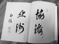 Book pages have black calligraphy printed on them, in black and white cinematography.