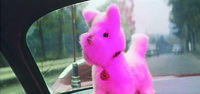 Suzuki’s Dog, Shot 1 (b): a strong purple light from an undetected source is cast over the stuffed dog, changing its color to a gaudy purple.