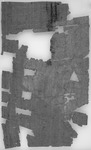 Petition wegen Verdrängungaus dem Erbteildurch den Neubaueineseingestürzten Hauses; Busiris (Herakleopolites), 6. Juli 137 v. Chr. Black and white image of the back of a piece of papyrus with writing on it.