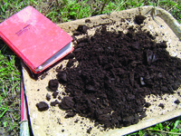 Tray resting on the grass containing a large pile of Mollic Cambisol soil, with a field notebook in the top left corner of the image.
