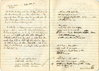 Two notebook pages are shown side-by-side. At the bottom of the right-hand page, following what appears to be a translation of Brazilian sketches, Bishop configures what becomes, in its published form, the eighth stanza of her poem "The Armadillo." The lines read: “The owls’ nest must have burned. / Without haste, all alone, / we saw an armadillo leave the scene, / glistening, head down, tail down, [.]”