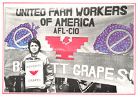 Huerta stands in front of a large United Farm Workers of America, AFL-CIO banner with a UFW logo and circle with a bar over a picture of grapes. She holds a sign: “Boycott Grapes.”