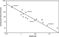 This is a figure with every U.S. state listed along the vertical axis, and the horizontal axis is divided into four sections of different types of calories, with each section filled in with gray shading, on a continuum from very light gray for high, to black for low.