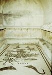 Figure 15 Herculaneum, Terme del Foro, women’s apodyterium.