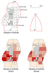 Plan of Shpella e Hudhrës showing four diagrams, including lithics and bones. Plan displays numbered colored grids.