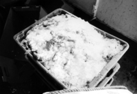 A photograph of box of iced-down fish.