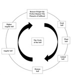 A large circle with several rectangular boxes and arrows showing the journey of the self from its origin to its return through the intermediary degrees of fetal, animal, human, and angelic selves.