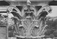 Photograph of a normal Corinthian capital from the exterior order of the Hellenistic phase of the Temple of Olympian Zeus in Athens, attributed to Cossutius.