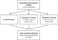 This diagram outlines the experimental design (for the effect of the future) for each policy issue.