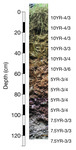 A profile of sediment in Trench 2 ranging from 0cm at surface to 120cm at bottom.