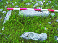 Cist grave with three large rocks and red and white striped pole.