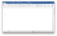 Screenshot of Microsoft Word