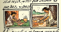 Source: Florentine Codex, Vol. III, Book 10, fol. 38. Biblioteca Medicea Laurenziana, Florence.