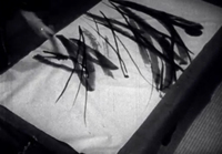 An individual paints nature forms on white paper, in black and white cinematography.