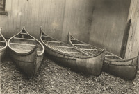 A black-and-white photograph of several birch-bark canoes lined up.