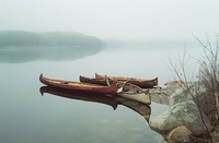 A color photograph of four birch-bark canoes in the water near rocks and grass on the shore.