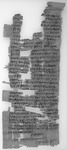 Petition einesSoldatenwegen des Übergriffseines Vorgesetzten und des Diebstahls von Schafen; HieraNesos (Herakleopolites), 5.–6. Juli 137 v.Chr. Black and white image of the front of a piece of papyrus with writing on it.