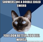 A humorous meme depicting a Siamese cat with blue eyes, looking stricken, against a blue background, from memegenerator