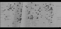 Film still from Mist where ants are swarming on the account book in Yun's fantasy.