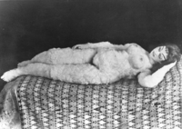 The photograph showcases the doll in the nude, reclining on a sofa, covered with the oriental rug. The absent-minded, reclining doll, with its left hand resting under its head and the right arm stretched on its side, offers its furry body to the viewer, in an image reminiscent of turn-of-the-century pornographic postcards. The doll’s position recalls famous modernist paintings of female nudes, such as Édouard Manet’s Olympia (1863).