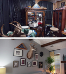 Top: cluttered, low-­lit room with a black curtain as a backdrop, filled with furniture, boxes, miscellaneous items. In the front left foreground, a taxidermied deer head rests on top of a box. Bottom: A gallery wall inside a house, composed with family photographs with a taxidermied deer head in the center. A plant is visible on the right side of the shot.