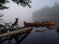 A color photograph of Erik Simula's canoe in the water, tied near the shore and packed with gear. His dog stands on a log by the shore.