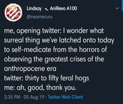 Tweet from Lindsay AniRevo A100 @neomeruru that reads, “Me, opening twitter: I wonder what surreal thing we’ve latched onto today to self-medicate from the horrors of observing the greatest crises of the Anthropocene era. Twitter: thirty to fifty feral hogs. Me: ah good, thank you.”