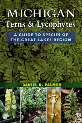 Cover image for Michigan Ferns and Lycophytes: A Guide to Species of the Great Lakes Region