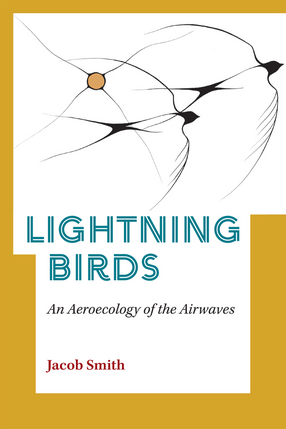 Cover image for Lightning Birds: An Aeroecology of the Airwaves