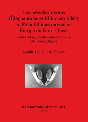 Cover image for Les mégaherbivores (Éléphantidés et Rhinocérotidés) au Paléolithique moyen en Europe du Nord-Ouest: Paléoécologie, taphonomie et aspects palethnographiques