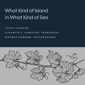 Cover image for What Kind of Island in What Kind of Sea